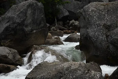 DSC_4694 (Large).JPG